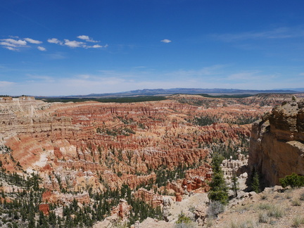 P1030305