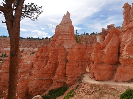 P1030342